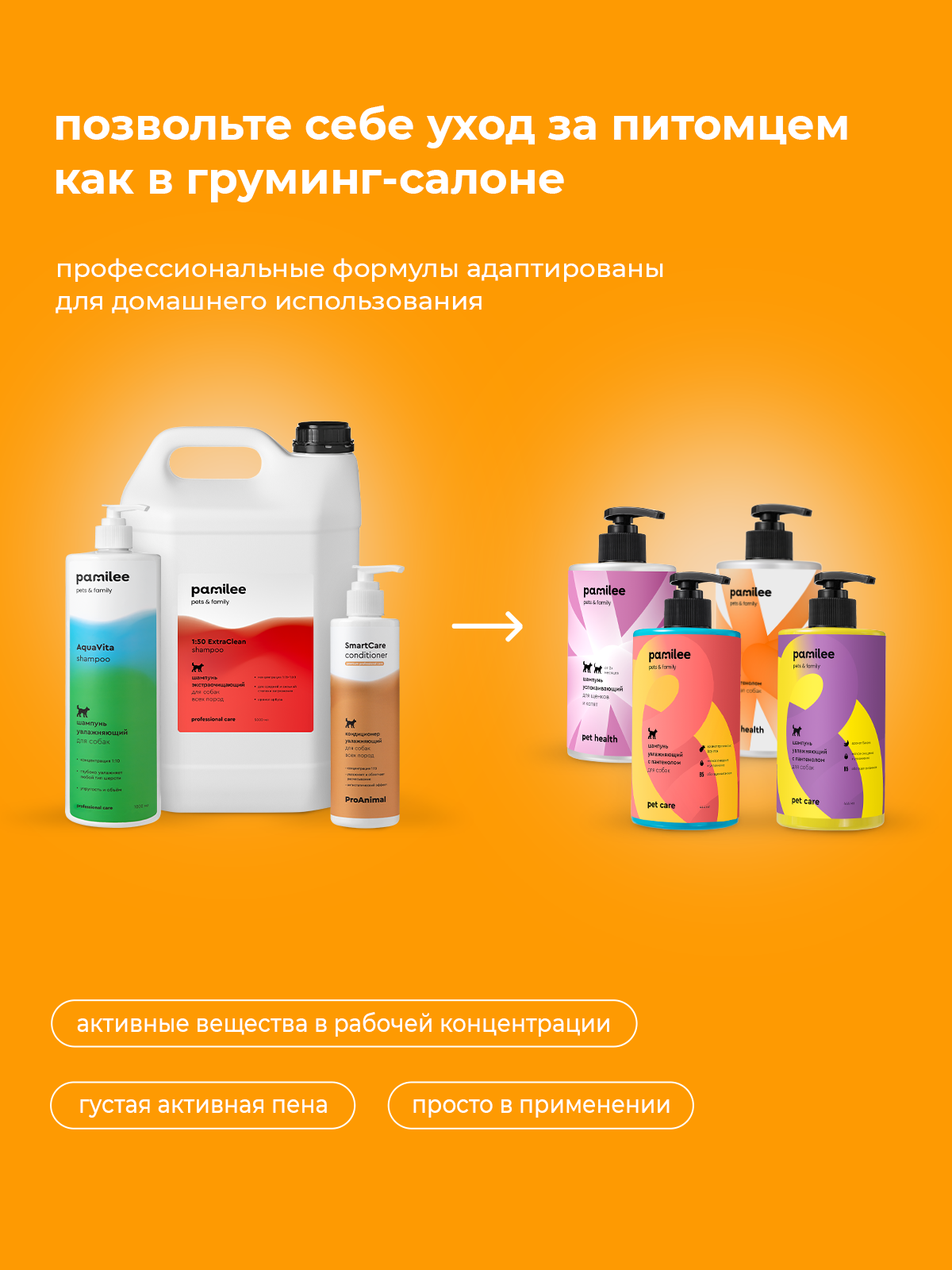 Шампунь для собак с пантенолом Pamilee универсальный с ароматом мандарин-ваниль - фото 7