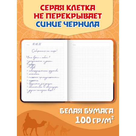 Блокнот Проф-Пресс в клетку А5. Повелитель дюн 168 лист.