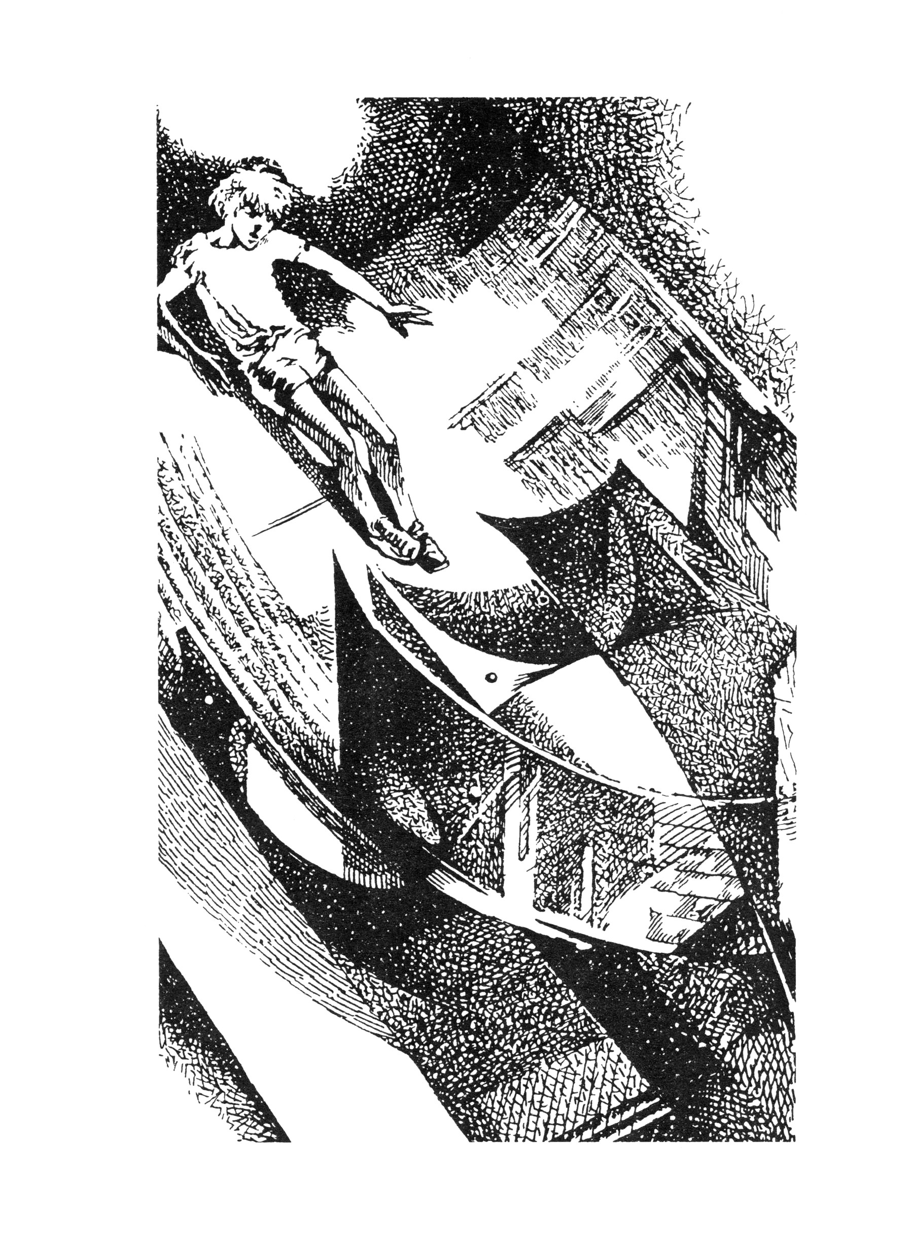Книга Стрекозa Крик петуха - фото 6