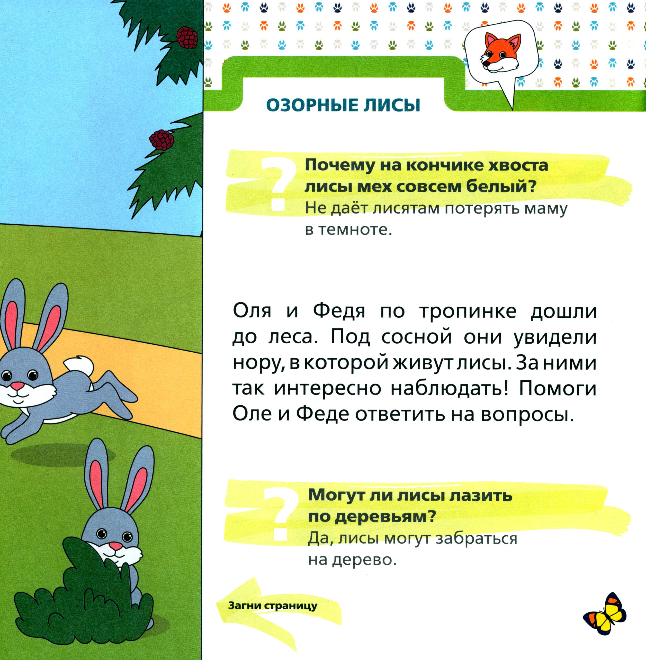 Книга Тойвиль Лесные зверята - фото 9