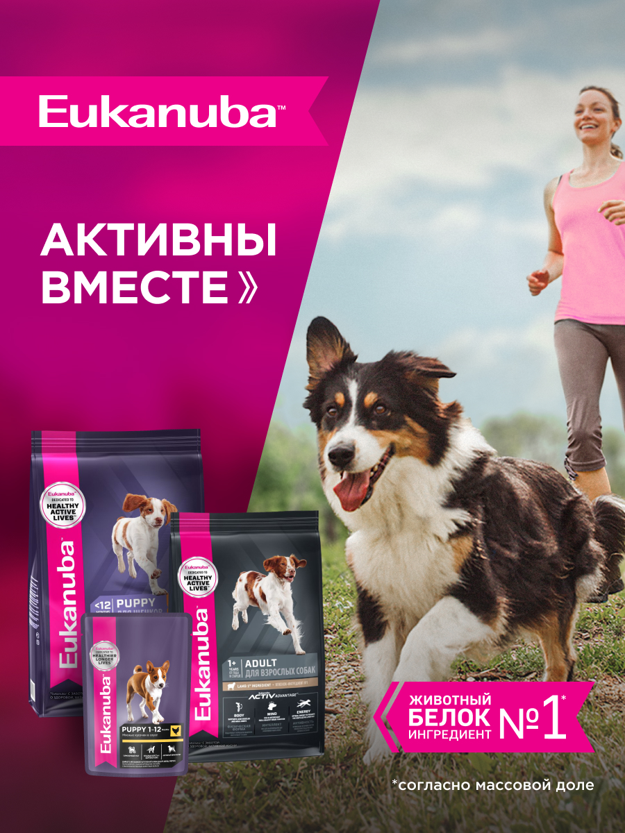 Корм для собак Eukanuba 800г Паппи МедиумБрид 12м - фото 7