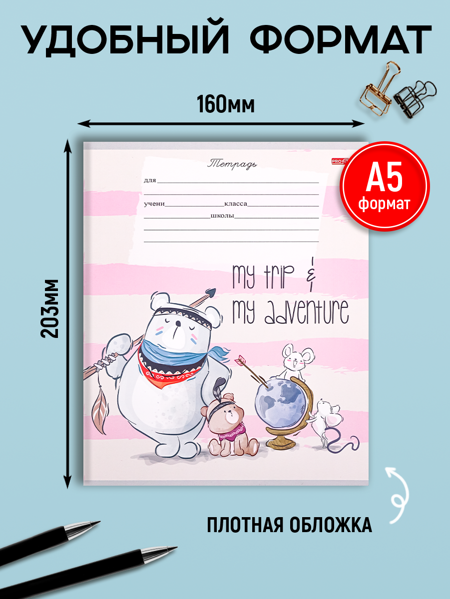 Тетрадь Profit клетка 12 лист. 10 шт. - фото 3