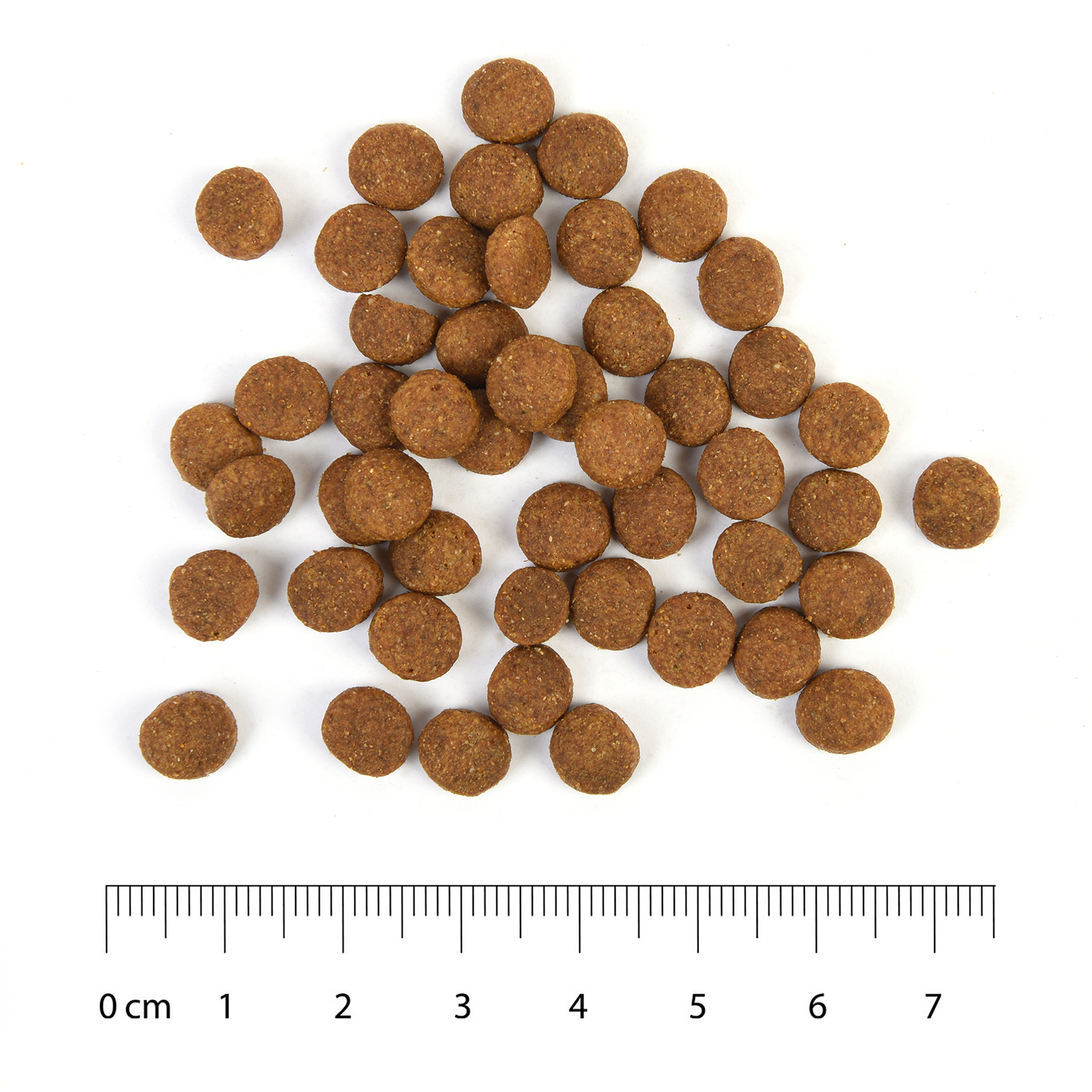 Корм для собак Carnica 3кг с ягненком для здоровья суставов для средних и крупных пород сухой - фото 6