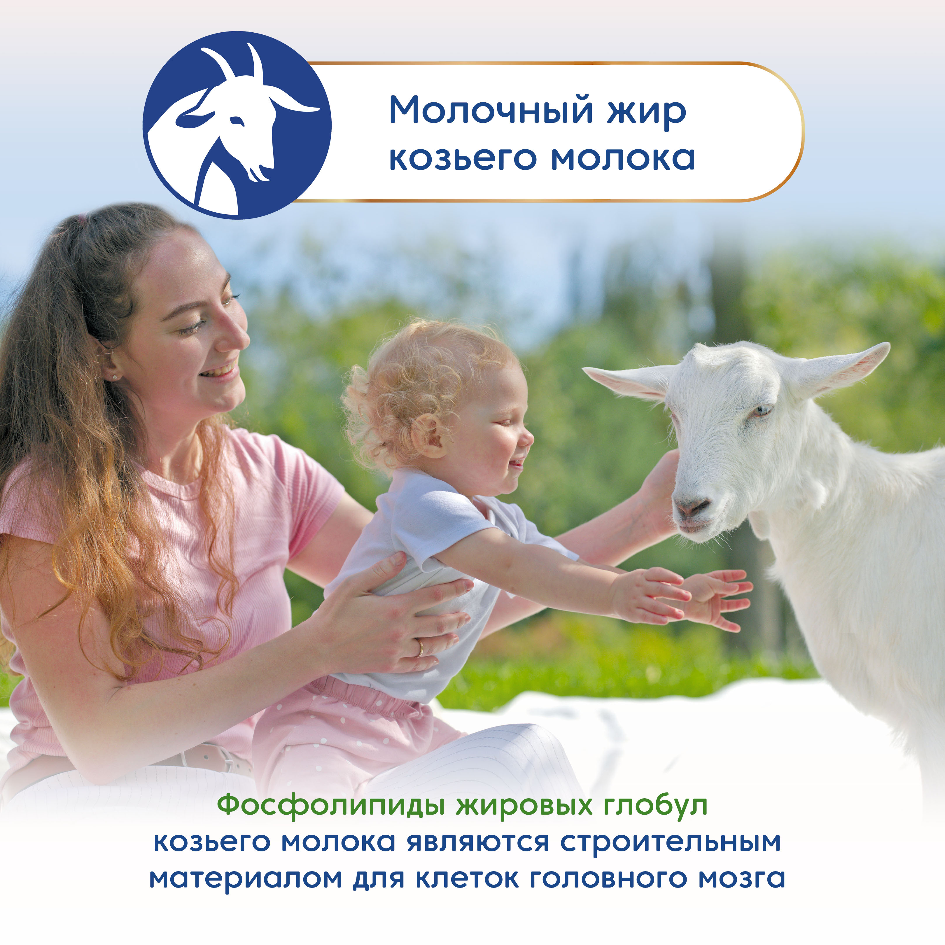 Смесь Мамако 3 Premium на козьем молоке 400г с 12месяцев - фото 9