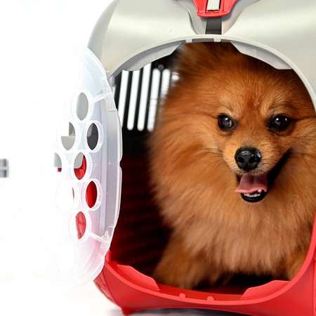 Переноска для животных Bama Pet Kennel Tour Красная 19120