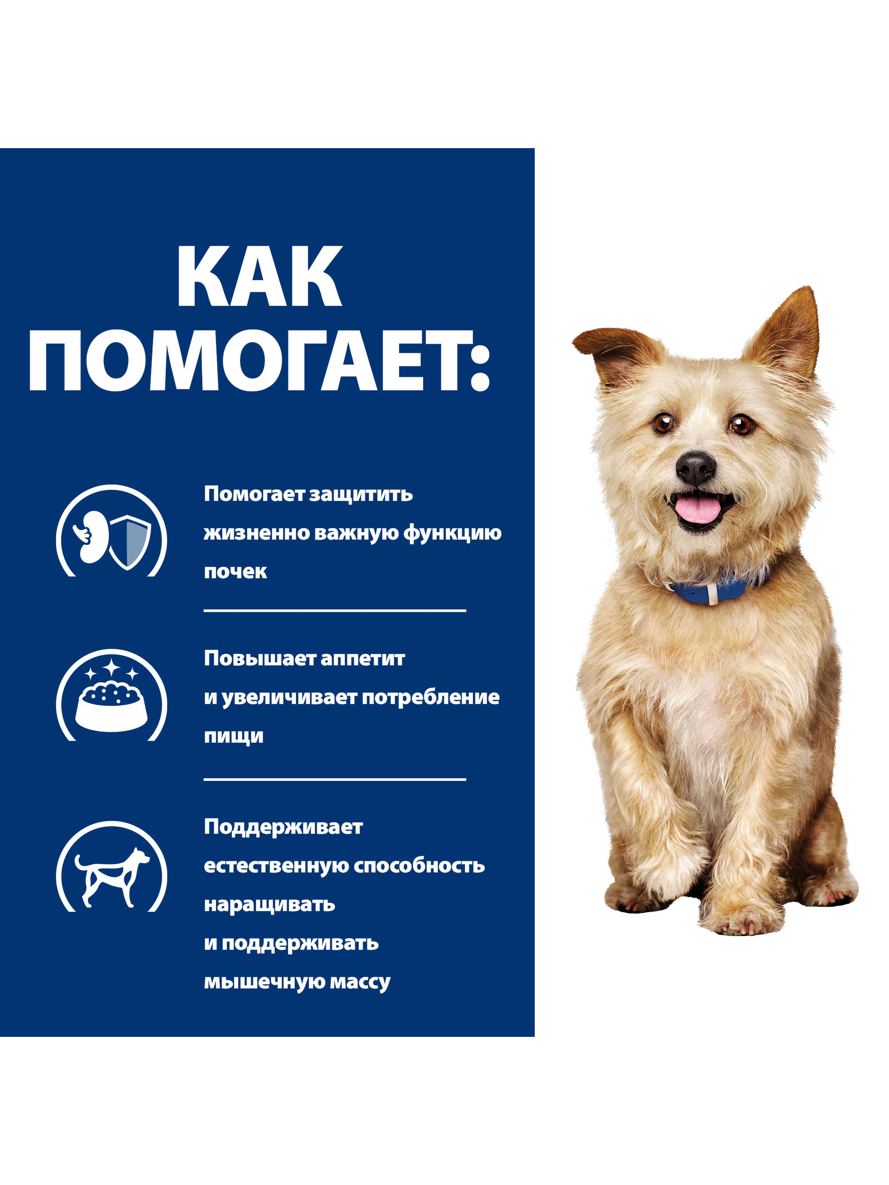 Корм для собак Hills 370г Prescription Diet k/d диетический при хронической болезни почек с курицей - фото 4