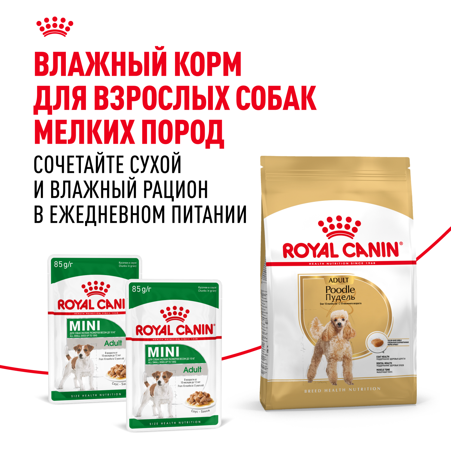 Корм для собак ROYAL CANIN Poodle Adult Пудель Эдалт сухой для взрослых собак породы пудель 1.5кг - фото 8