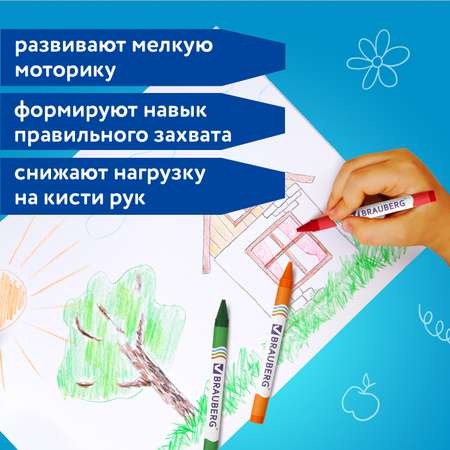 Восковые мелки Brauberg 24 шт.