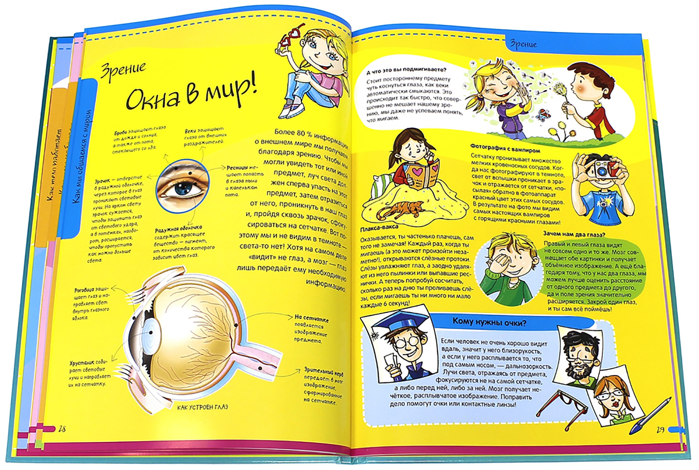 Книга Лабиринт Тело человека Нескучная анатомия - фото 4