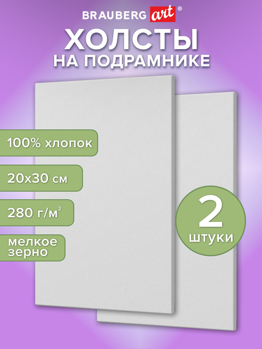 Холст для рисования Brauberg на подрамнике 20х30 см грунтованный 100% хлопок набор 2 штуки - фото 1