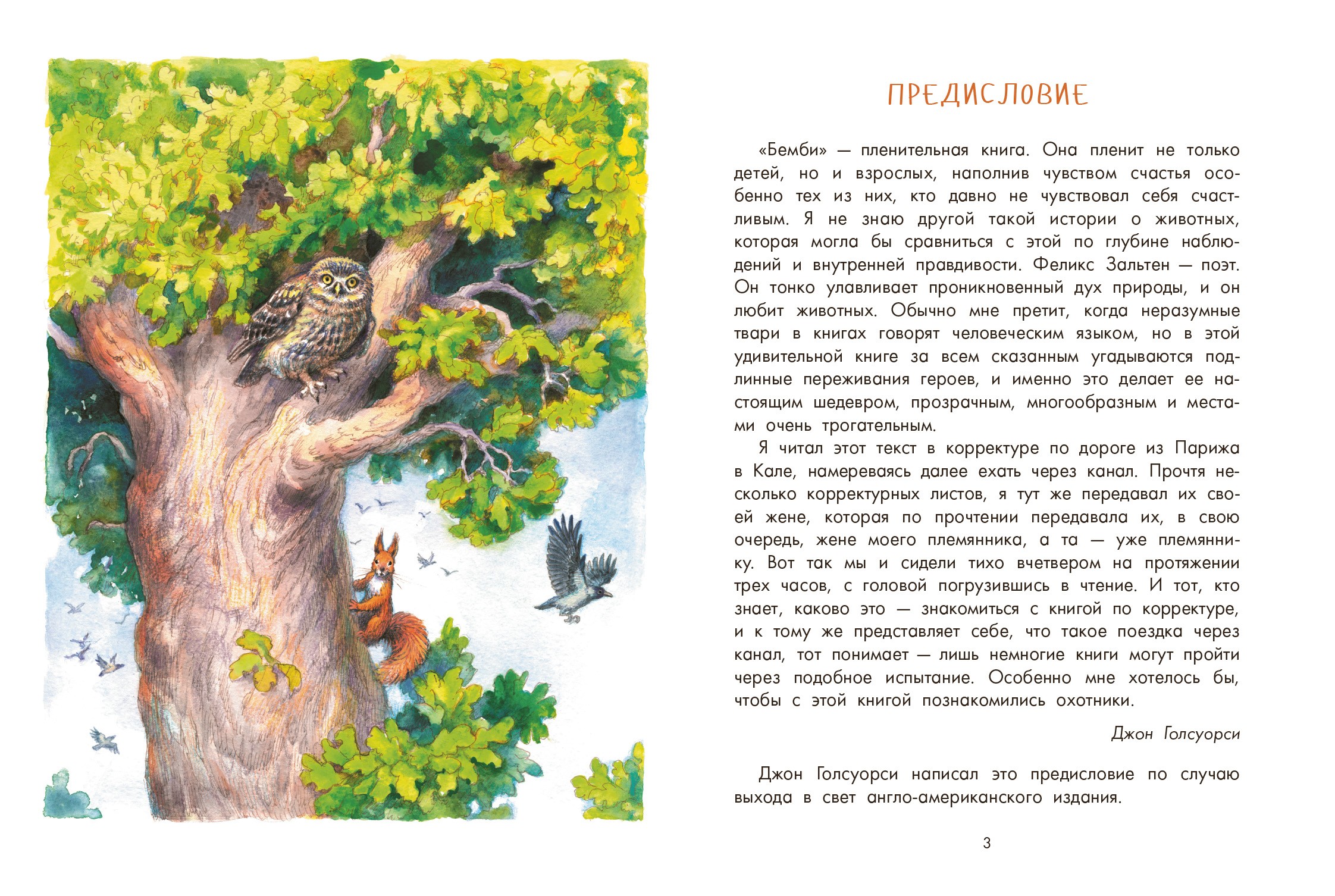 Книга Качели Бемби - фото 5