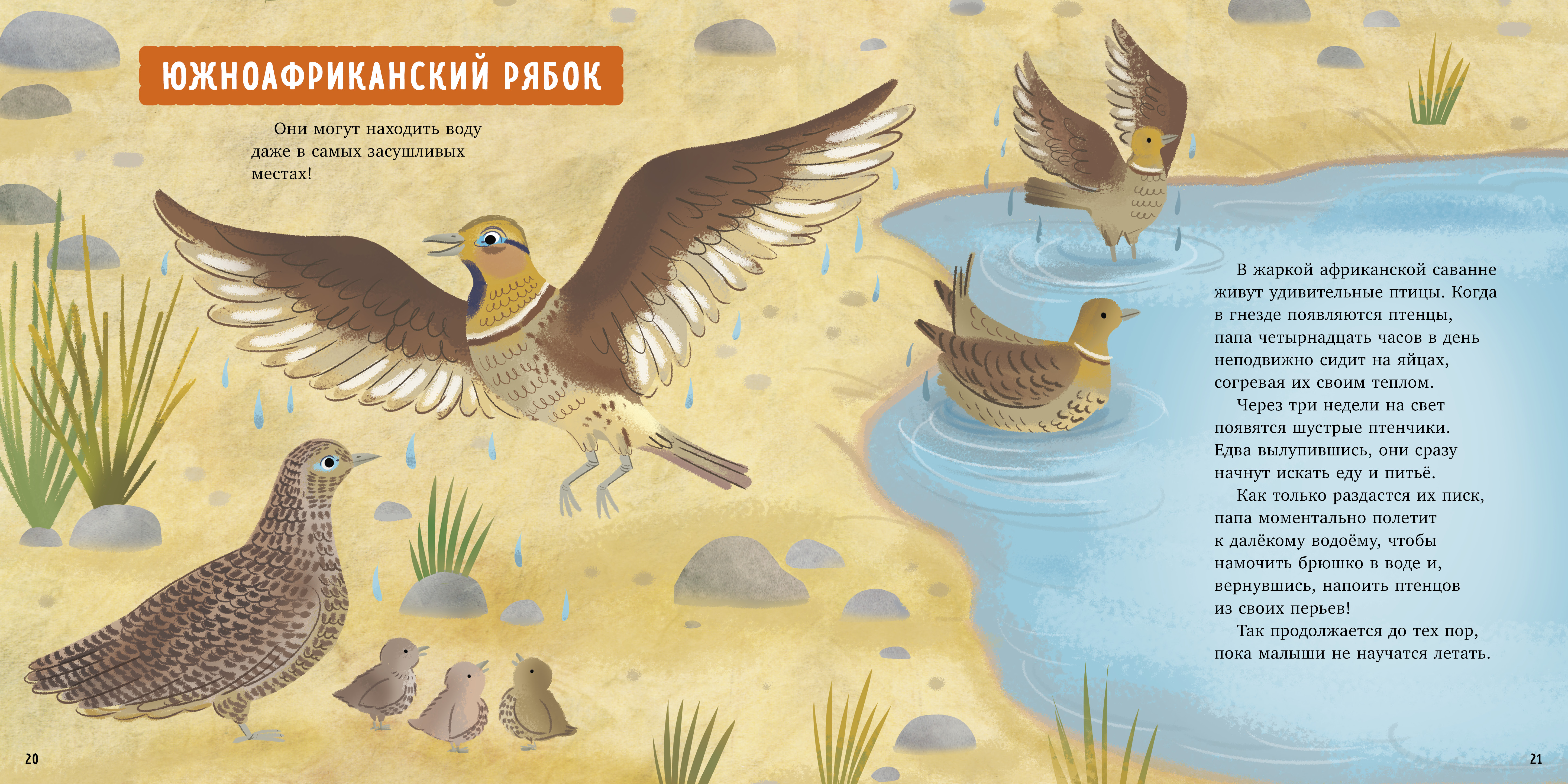 Удивительные животные Clever Книга - фото 2