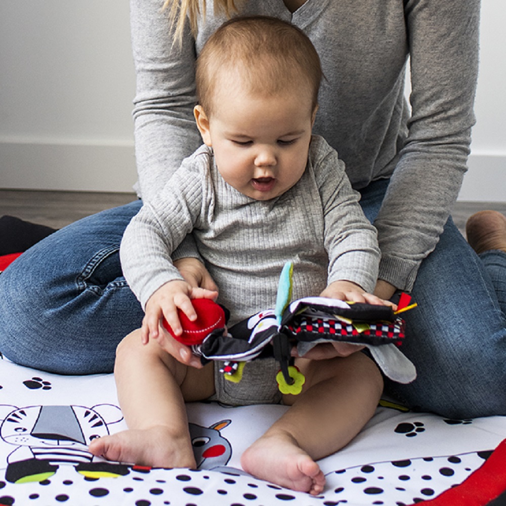 Игрушка Babyono книжка Сенсорная C-More в ассортименте - фото 3