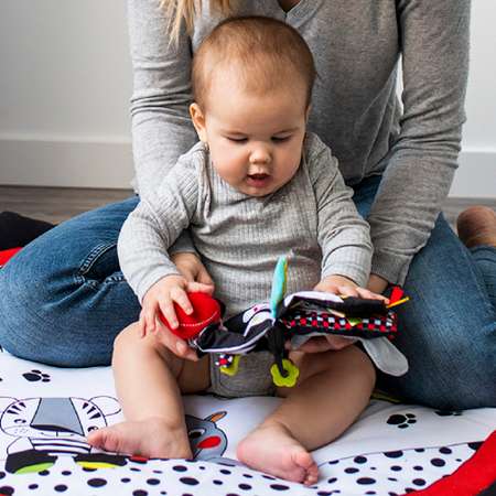 Игрушка Babyono книжка Сенсорная C-More в ассортименте