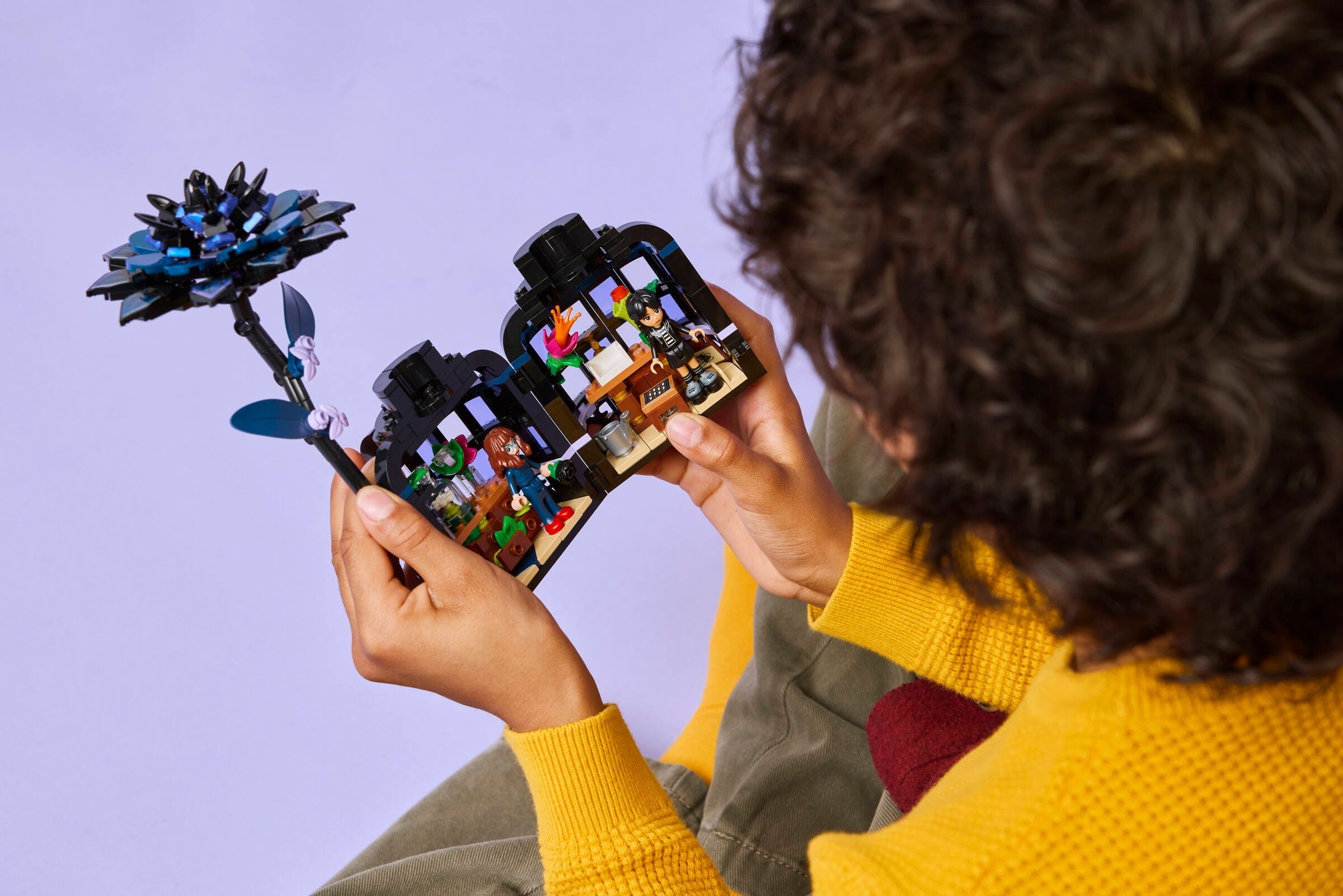 Конструктор LEGO Ideas 76784 358 дет. - фото 5