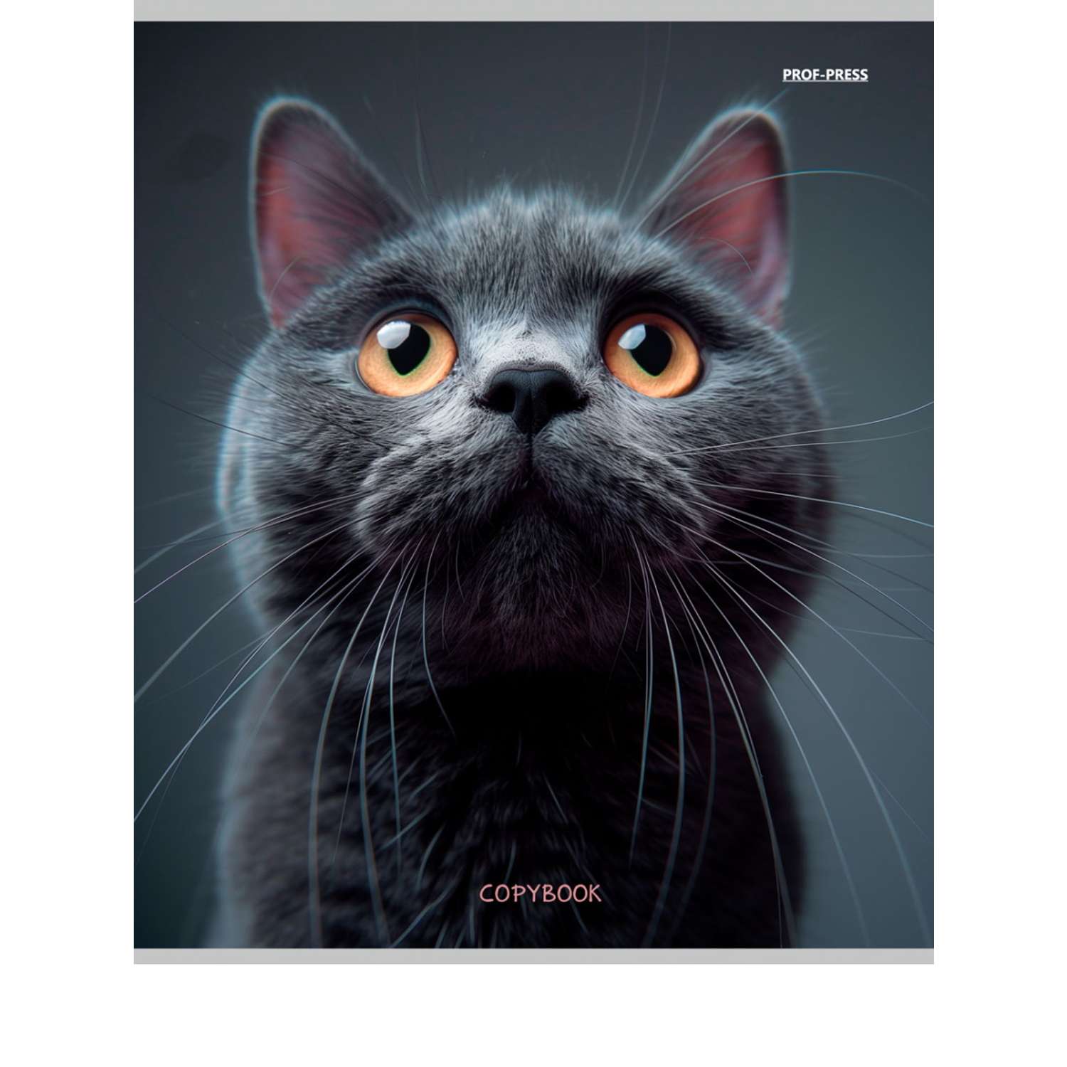 Тетрадь Prof-Press клетка 96 лист. в ассортименте - фото 3