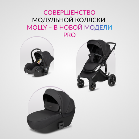 Коляска 3в1 Farfello Molly Pro черный