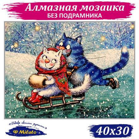 Алмазная мозаика Милато На катке