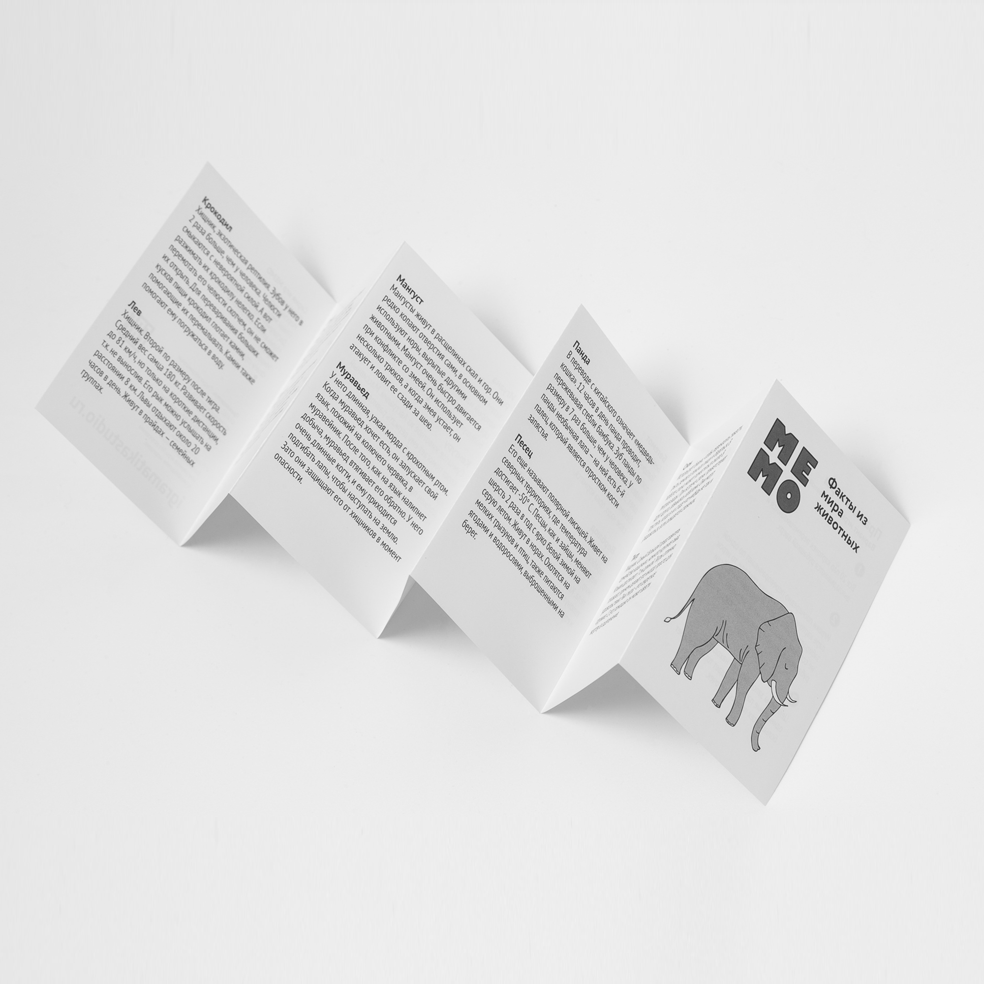 Настольная игра Играматика Мемо - фото 4