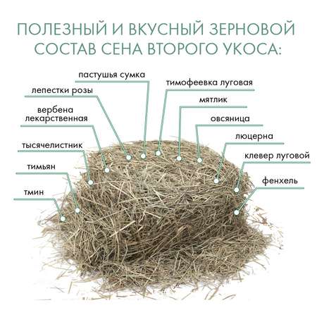 Сено для грызунов Fiory Alpiland Green альпийское с люцерной 500г