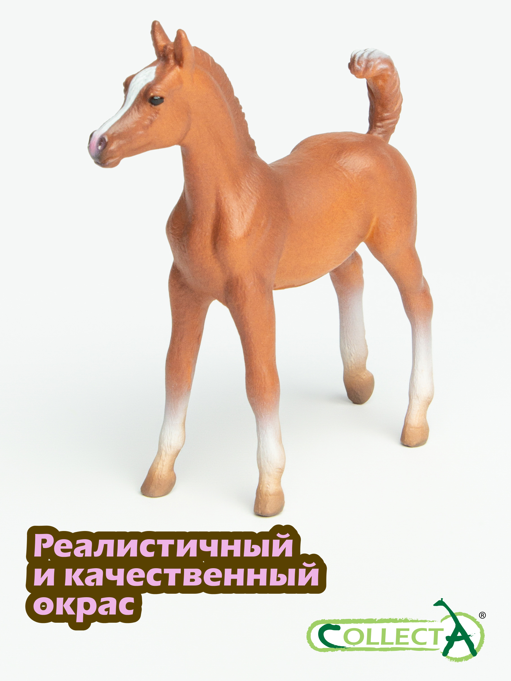 Фигурка Collecta Жеребенок лошади Арабской - фото 4