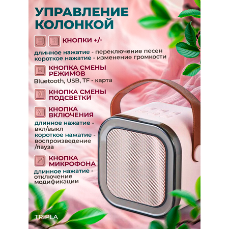 Детское караоке MagicStyle караоке с 2 беспроводными микрофонами