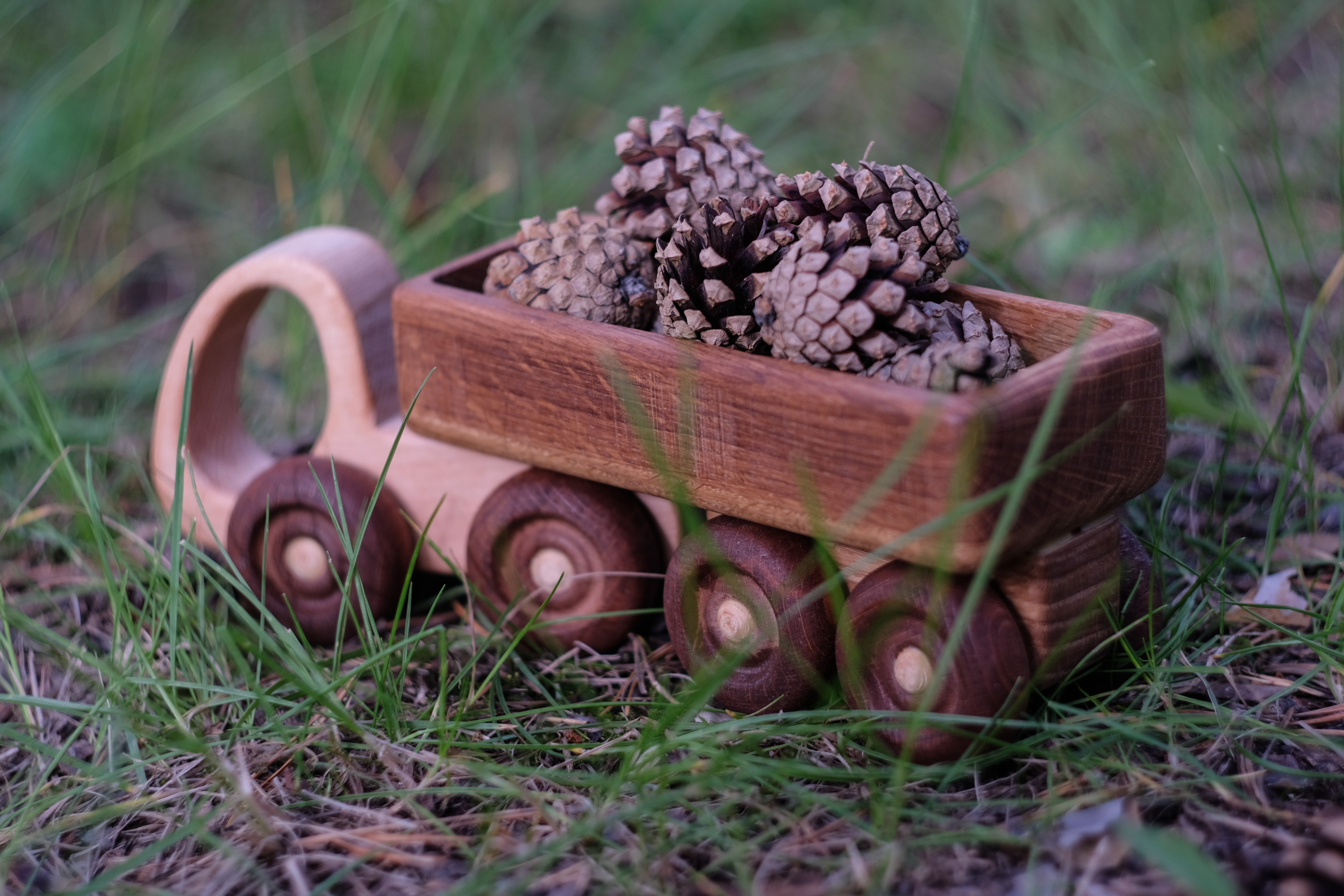 Грузовик Леснушки - фото 5