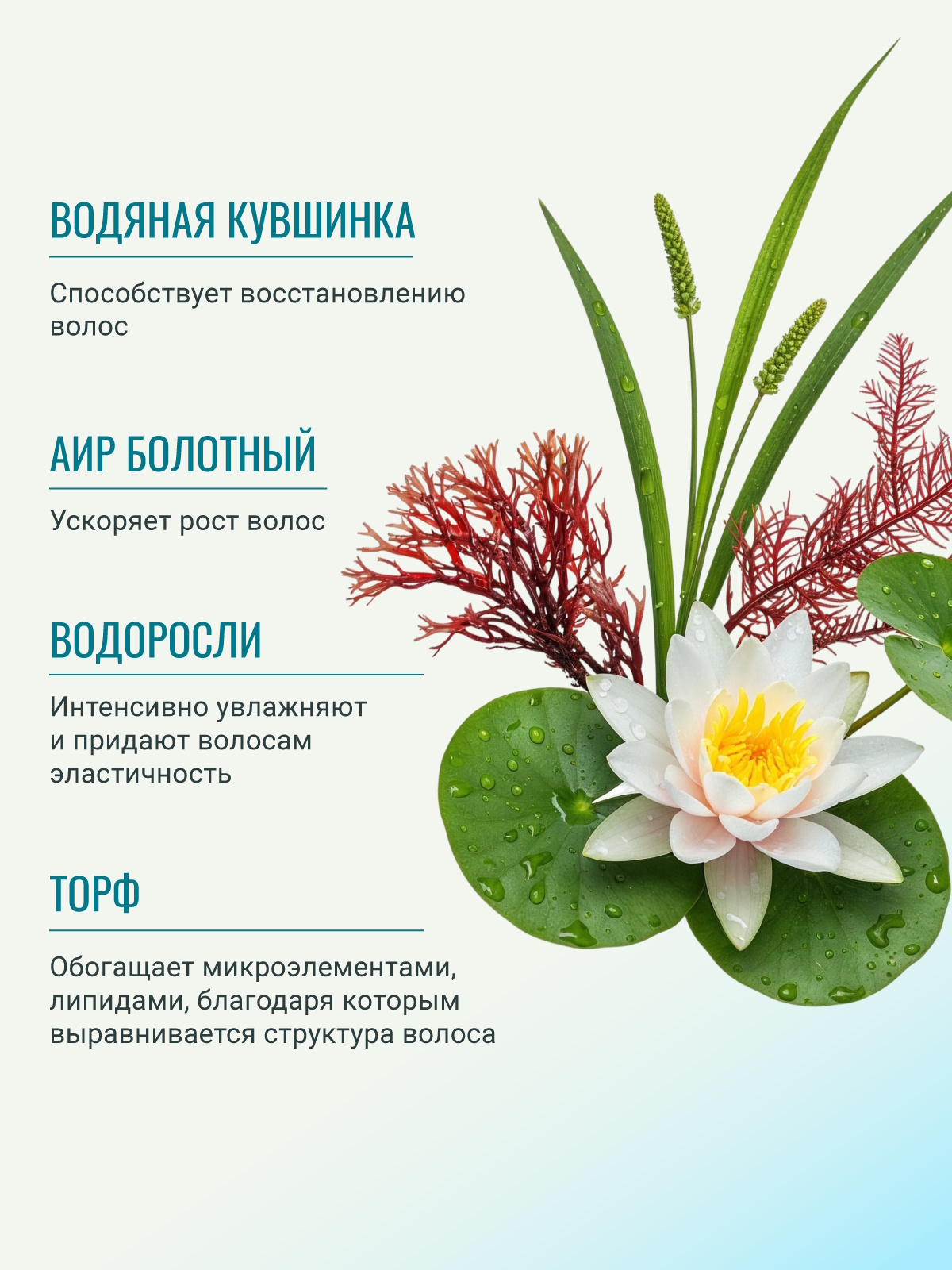 Маска ESTEL KIKIMORA 200 мл 1 шт. - фото 3