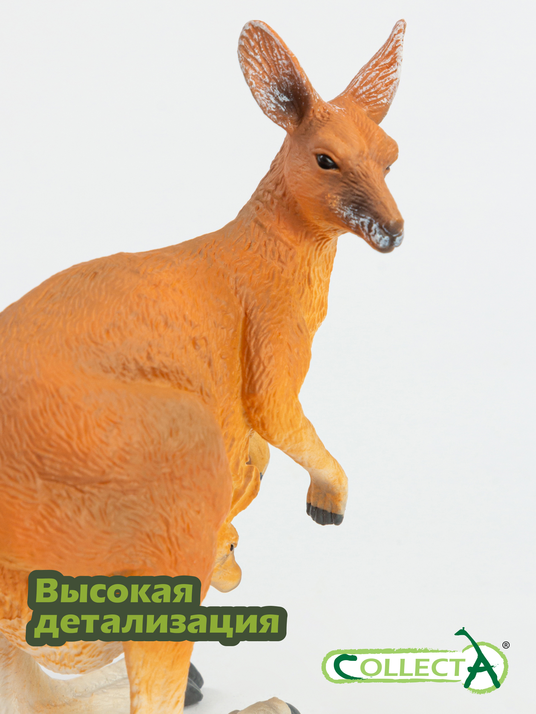 Фигурка Collecta Кенгуру красный самка - фото 3