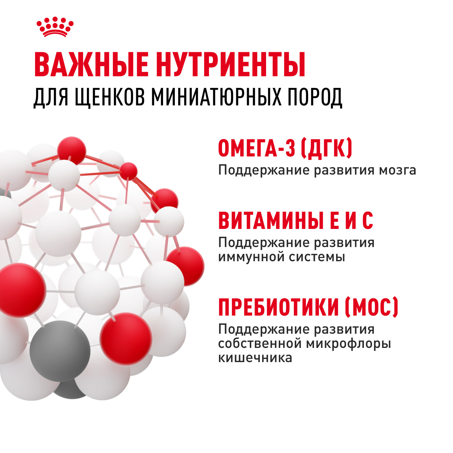 Корм для щенков ROYAL CANIN Puppy миниатюрных пород 3кг - фото 5