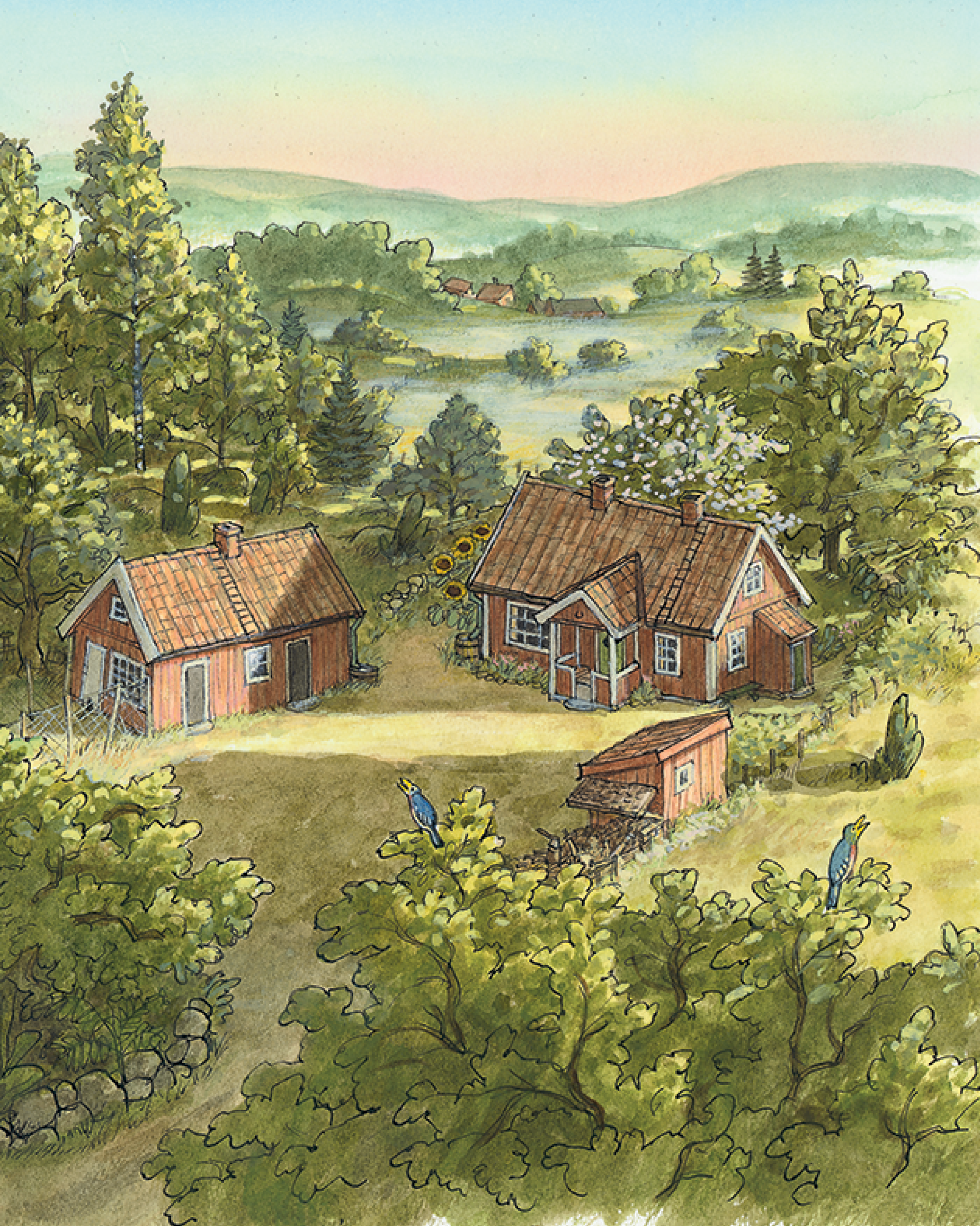 Книга ALBUS CORVUS Финдус переезжает - фото 9