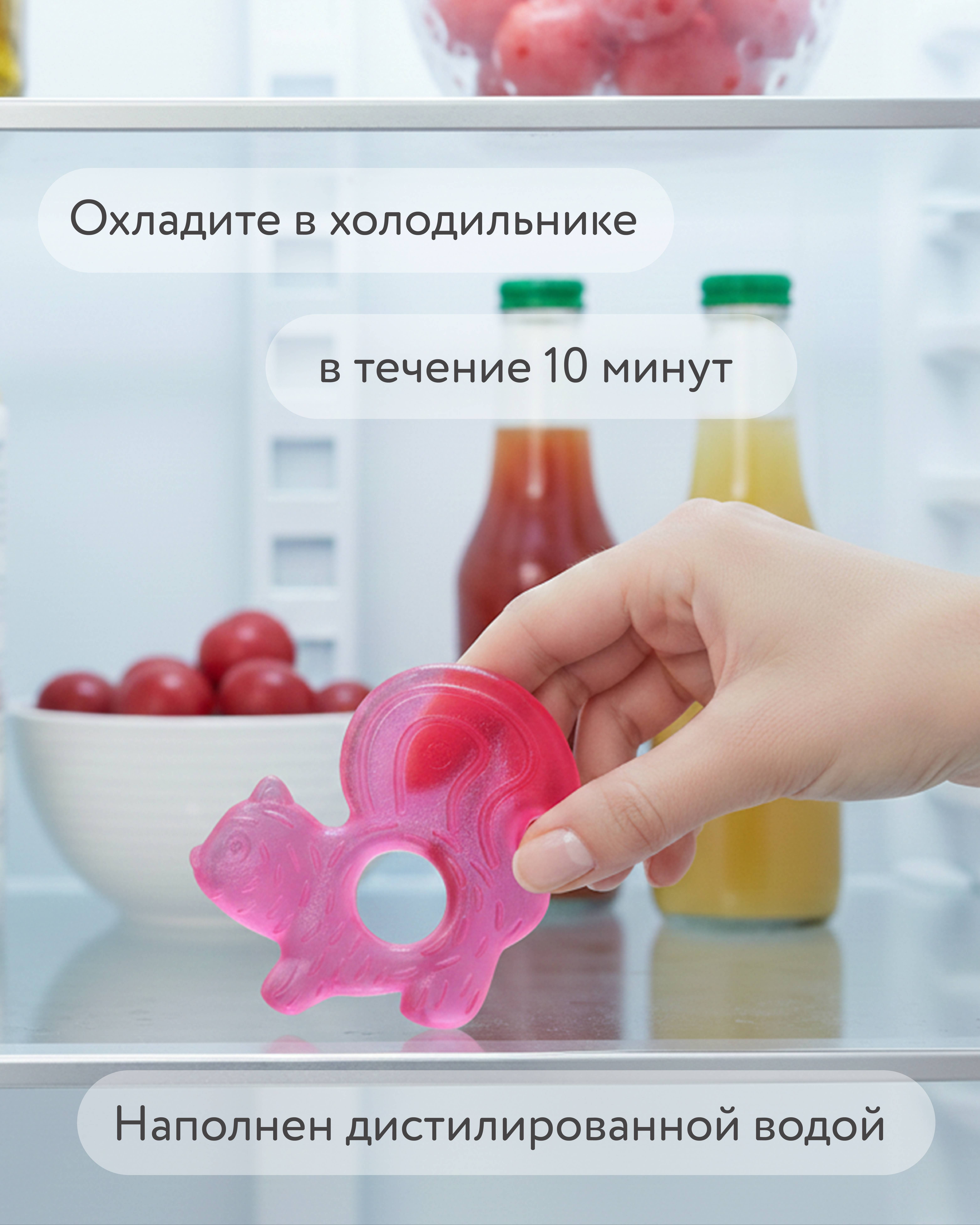 Прорезыватель BabyGo Белка - фото 4