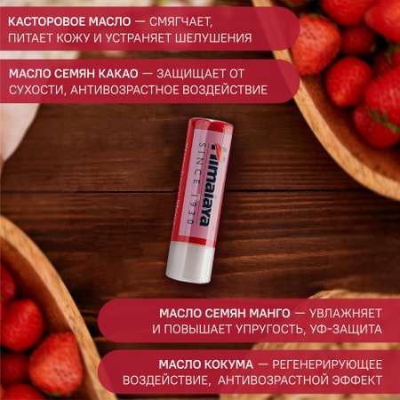 Гигиеническая помада Himalaya 2 шт.