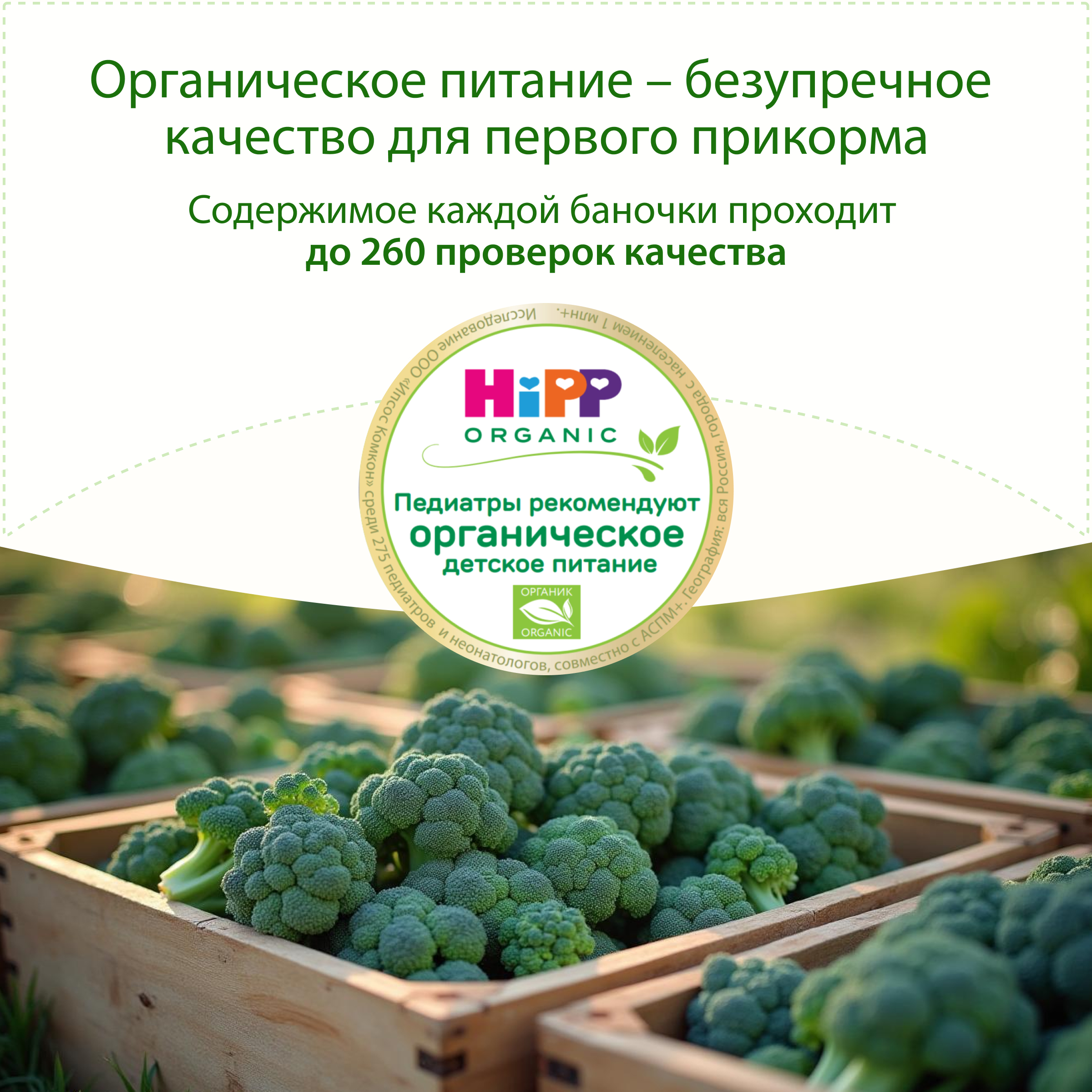 Пюре Hipp Брокколи с рисом с 6 мес 100 г - фото 3