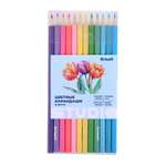 Карандаши цветные Erhaft 12 шт.