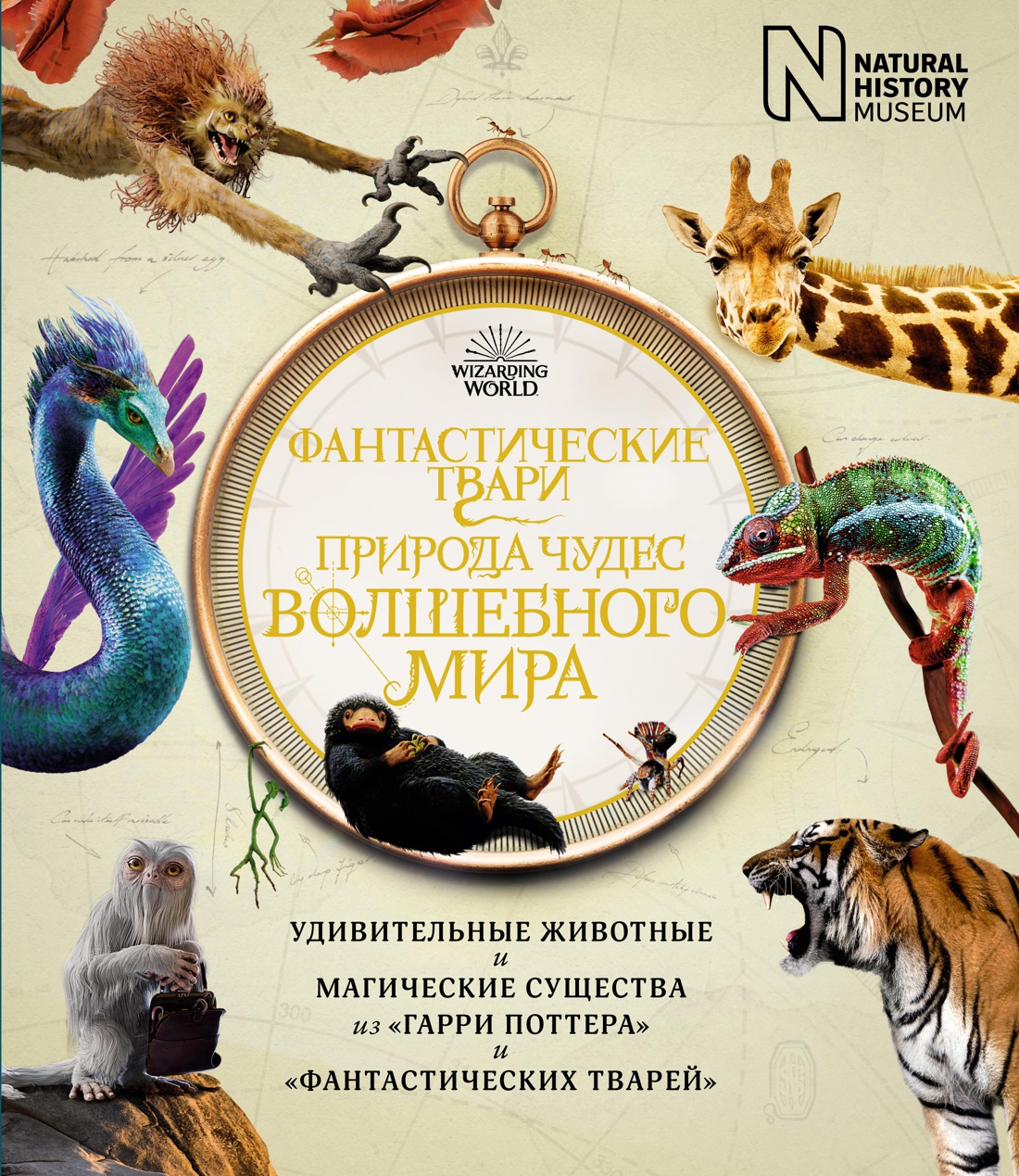 Комплект книг Махаон Вселенная Гарри Поттера. Комплект из 3-х книг - фото 13