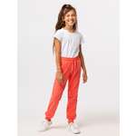 Брюки спортивные RODOS