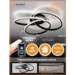 Светодиодная люстра с пультом Estares Vita 80W black/clear