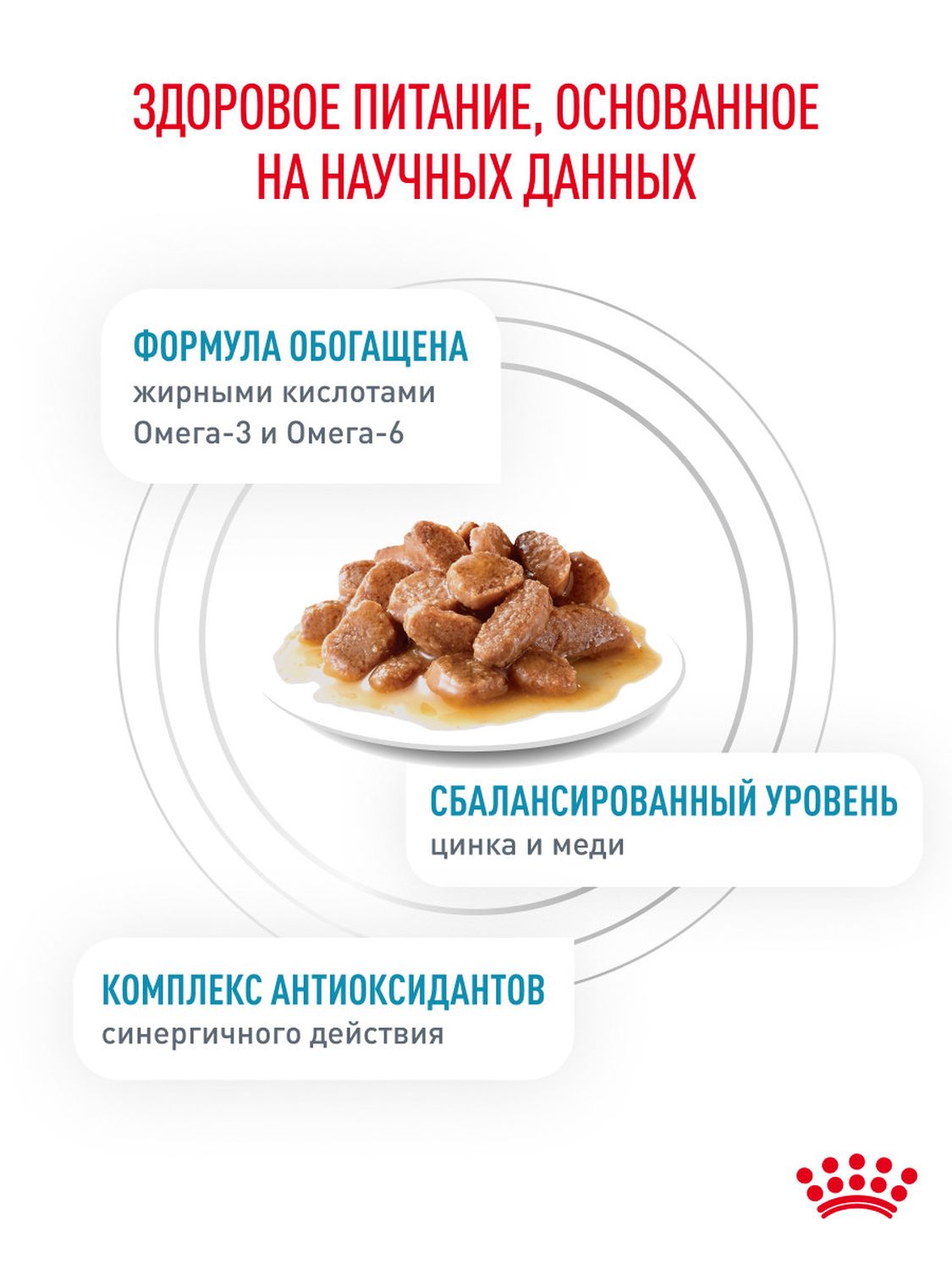 Корм для кошек влажный ROYAL CANIN Skin and Coat для поддержания здоровья кожи и шерсти 85г - фото 4
