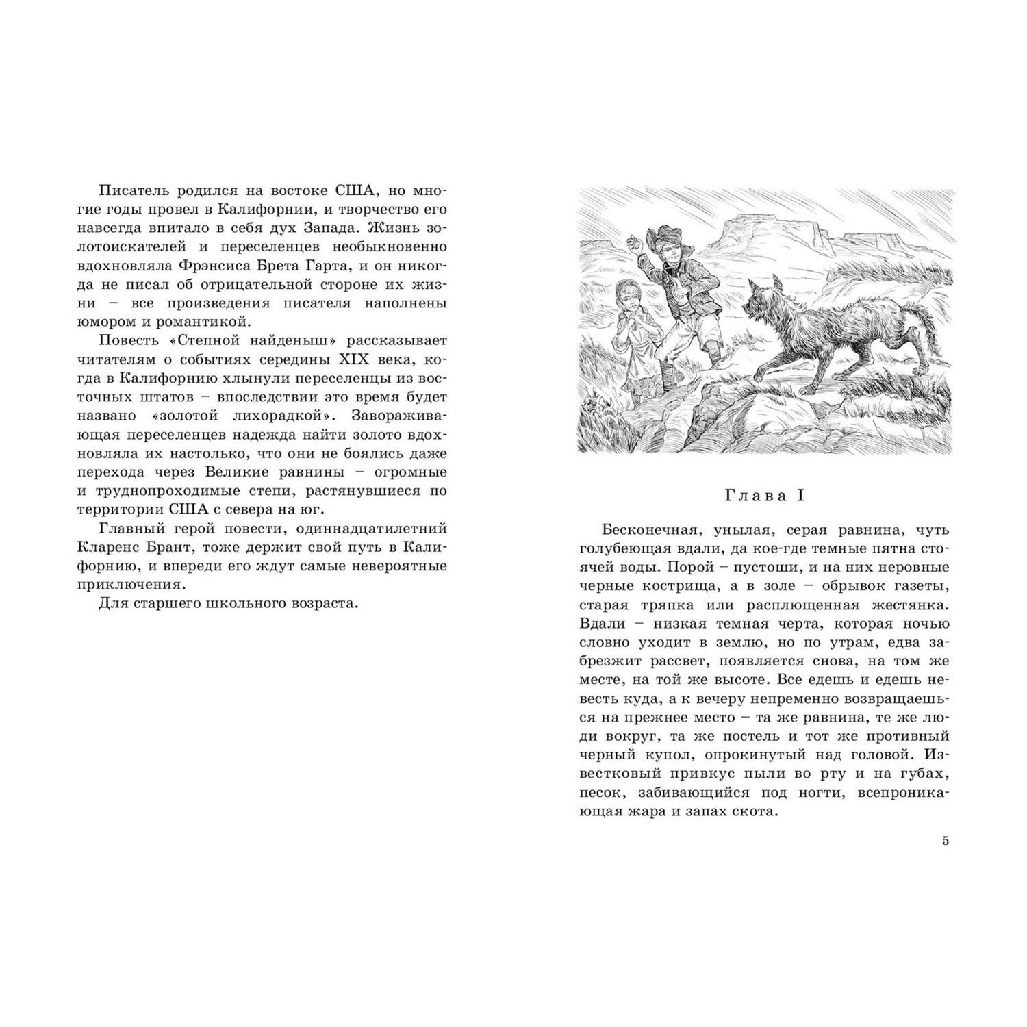 Книга ЭНАС-книга Степной найденыш - фото 5