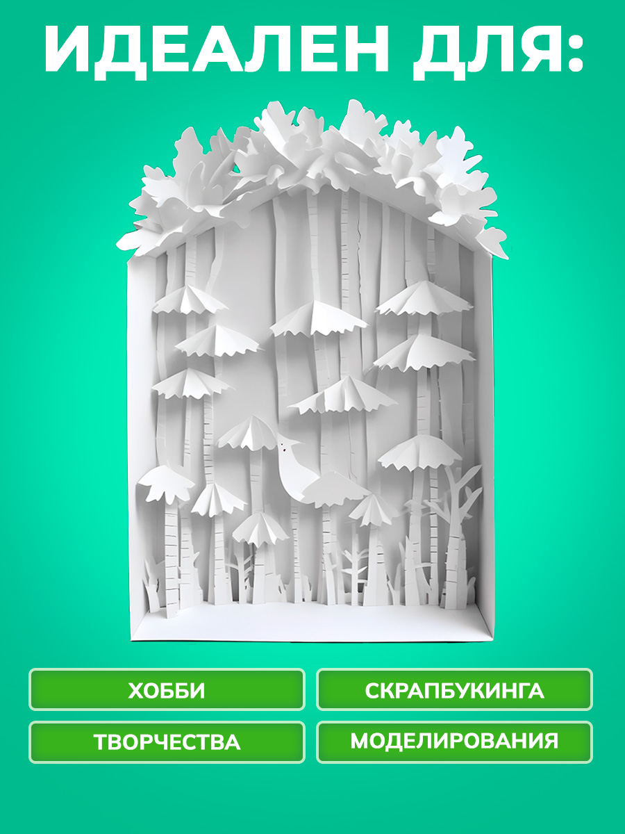 Белый картон Prof-Press для графики 24 лист. - фото 3