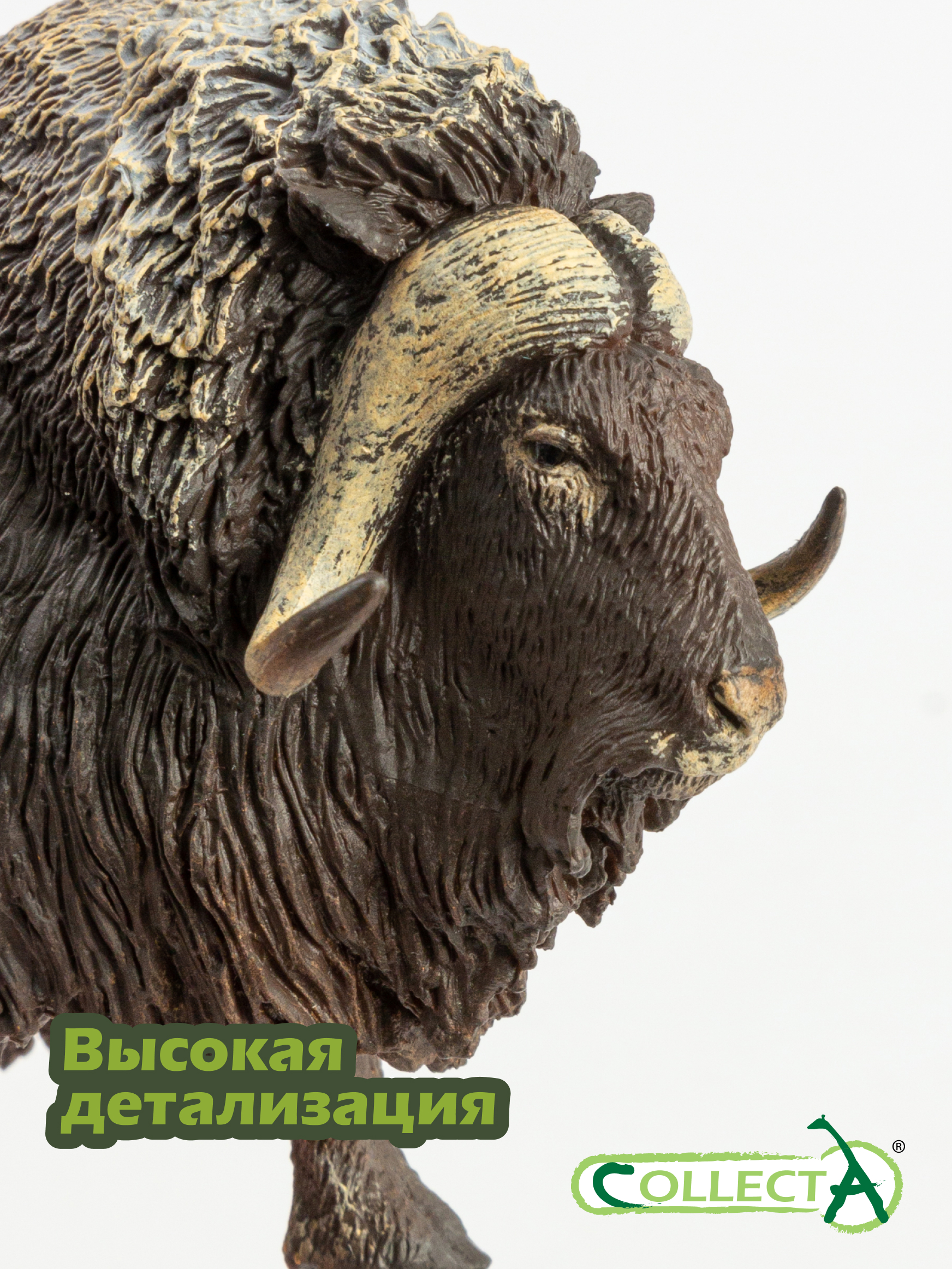 Фигурка Collecta Бык Мускусный - фото 3
