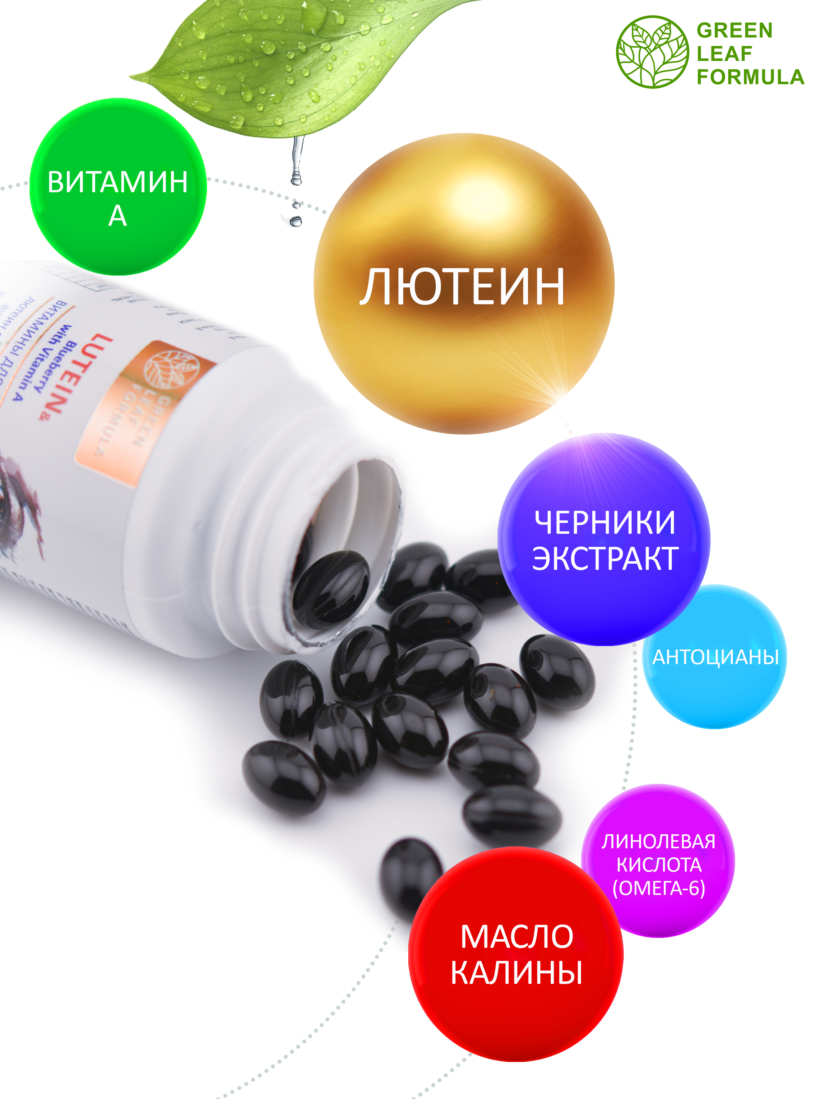 Лютеин комплекс для глаз Green Leaf Formula черника с витамином А для зрения - фото 3