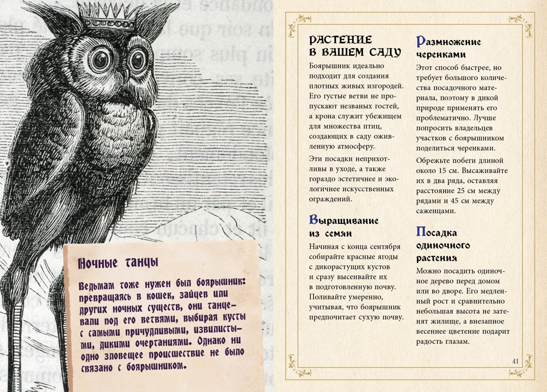 Книга КОЛИБРИ Лаис Э. Маленький гримуар ведьмы. Зелья и волшебные травы - фото 10