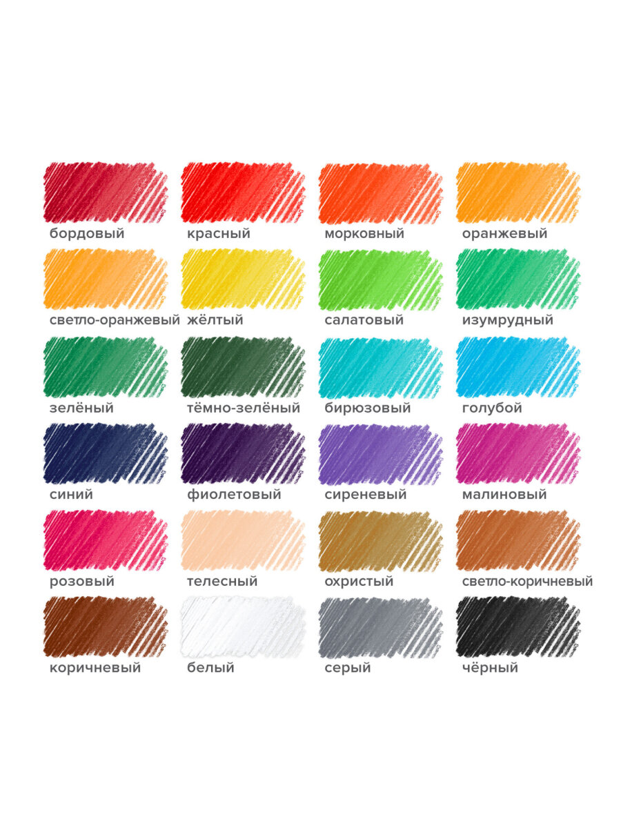Карандаши цветные Brauberg 24 шт. - фото 4