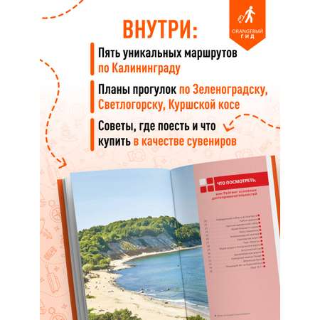 Книга БОМБОРА Калининград и Калининградская область: Зеленоградск, Куршская коса, Светлогорск