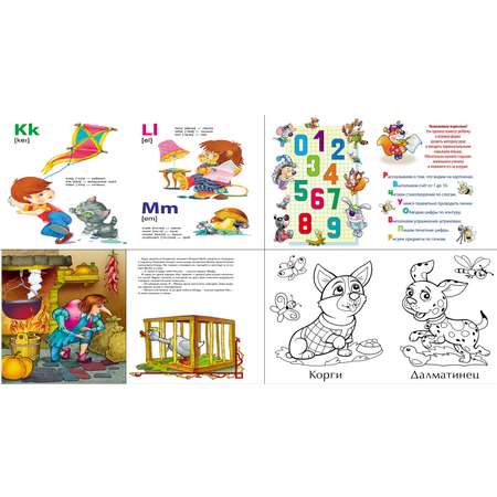 Комплект дошкольника Книжный дом универсальный