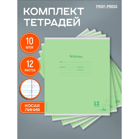 Тетрадь Prof-Press косая линейка 12 лист. 10 шт.