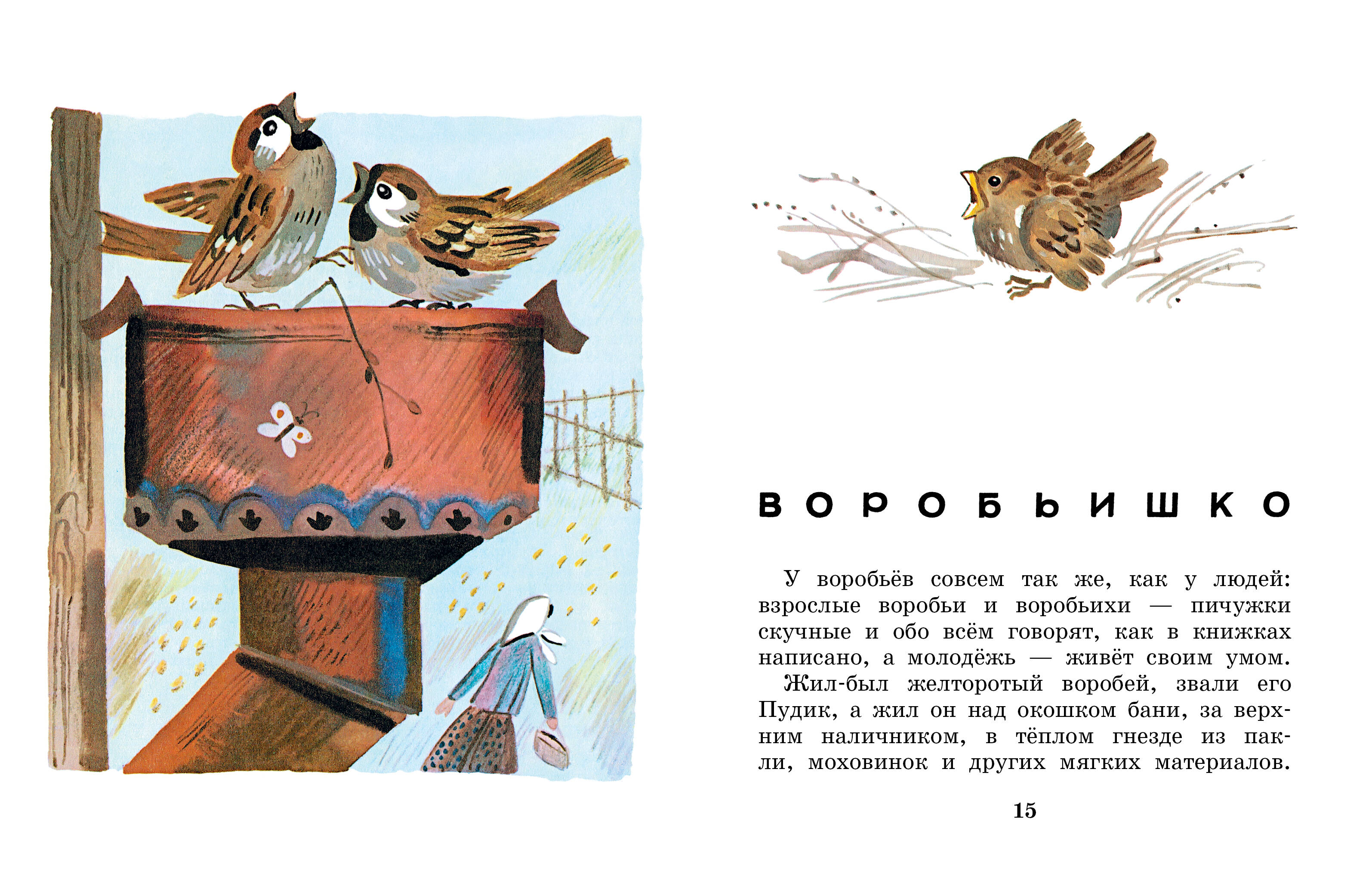 Книга АСТ Случай с Евсейкой - фото 4