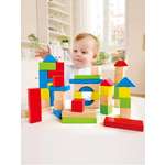 Конструктор Hape деревянный 50 дет.